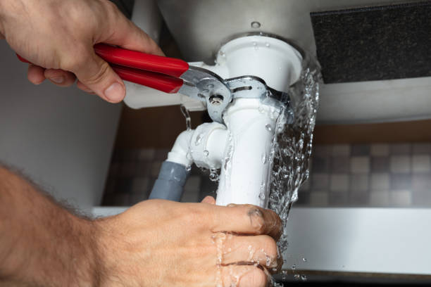 Best Water damage restoration specialists  in Paulden, AZ