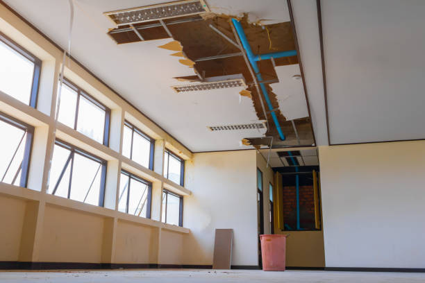Best Ceiling water damage repair  in Paulden, AZ