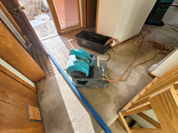 Water damage restoration mold remediation in AZ