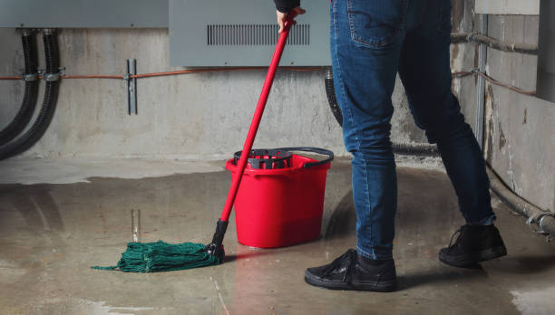 Best Flooded house restoration  in Paulden, AZ
