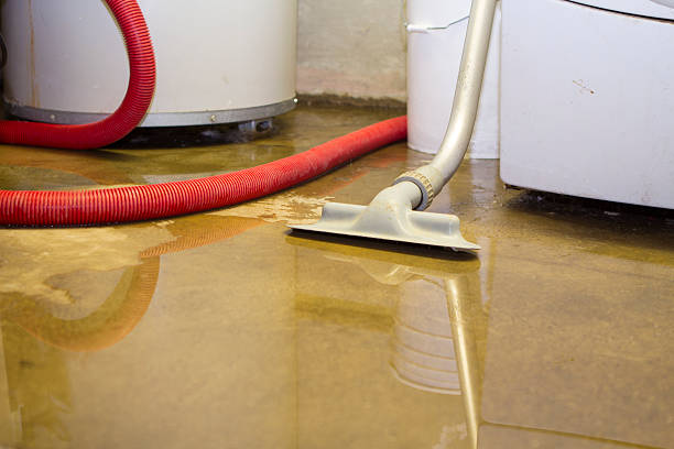Best Local water damage restoration  in Paulden, AZ