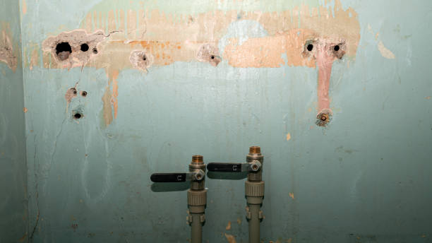 Best Water damage restoration services  in Paulden, AZ