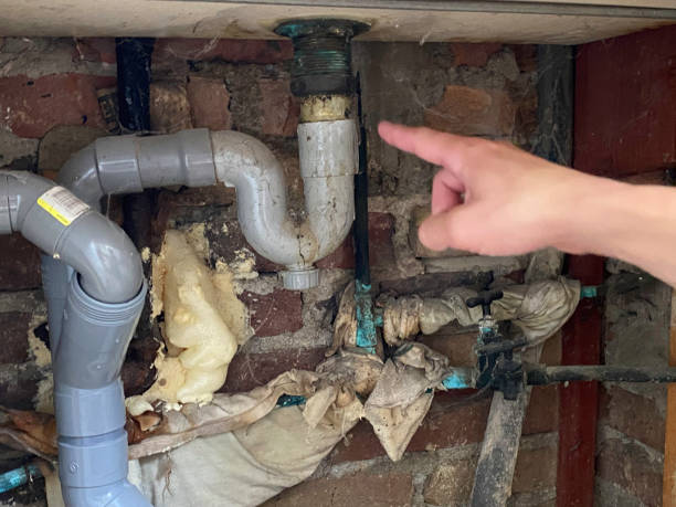Best Residential water damage restoration  in Paulden, AZ