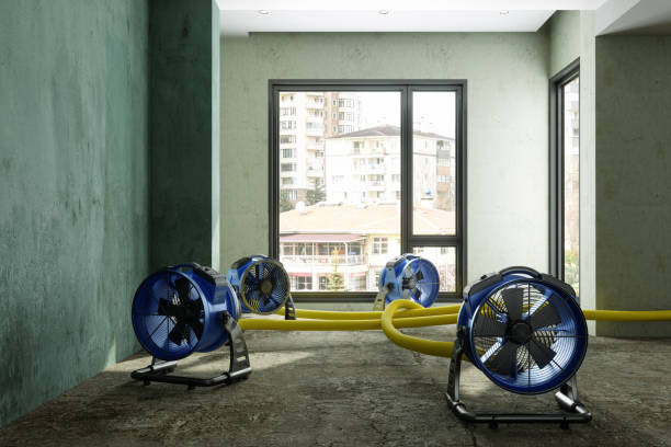 Best 24-hour water damage restoration  in Paulden, AZ